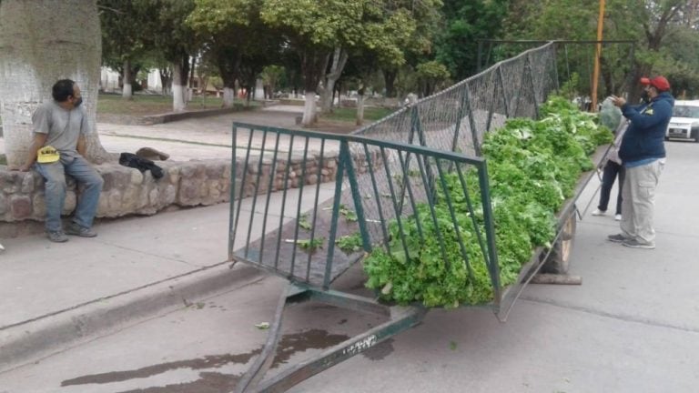 Una familia salteña regaló la cosecha de su propia huerta a sus vecinos (Facebook Prensa Guachipas La Viña)