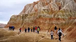 Bosque petrificado. Chubut.