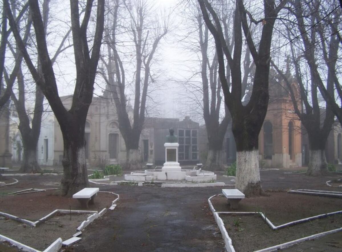 Proponen crear un cementerio de animales en La Plata