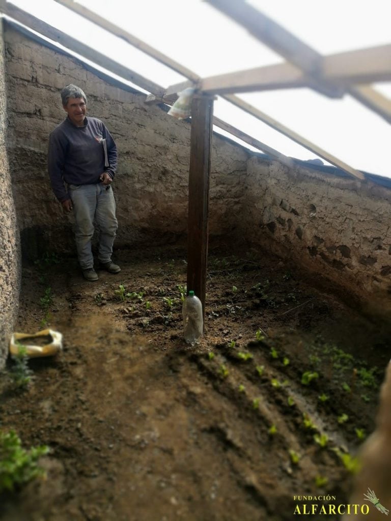 Un vecino de Alfarcito armó un invernadero para plantar verduras (Facebook Fundación Alfarcito)