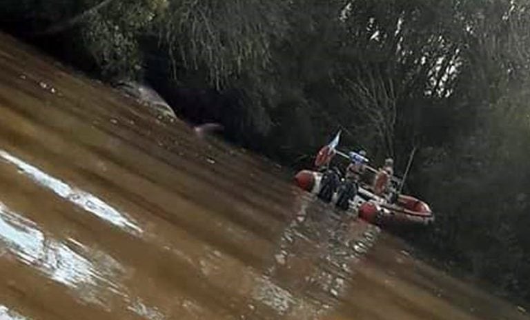 Apareció una ballena en el Río Paraná, en Escobar (Web)