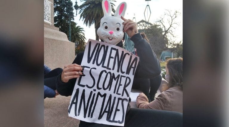 Protestan contra el acuerdo con China (Vía Santa Rosa)