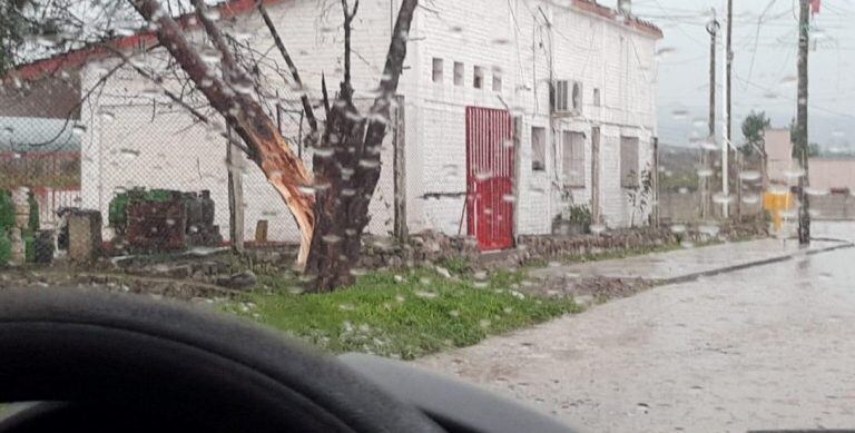 La ferocidad de la tomenta del miércoles se hace evidente en la nota gráfica, que muestra el grueso tronco de un árbol partido y la calle "convertida en un río".