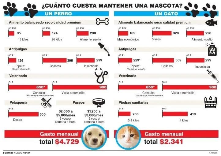 Estudio realizado por Focus Market (Crónica).