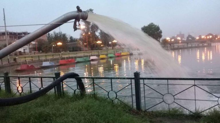 Continúan los trabajos de limpieza en el lago y en la costanera de la ciudad