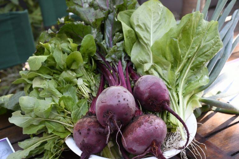 De la huerta al plato: confirman que los menús tendrán entre un 10 y un 30% de descuento. (Web).