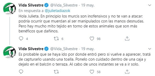 La situación desesperante que vivió Julieta Díaz en su casa (Captura)