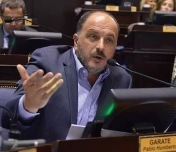 Diputado Pablo Garate