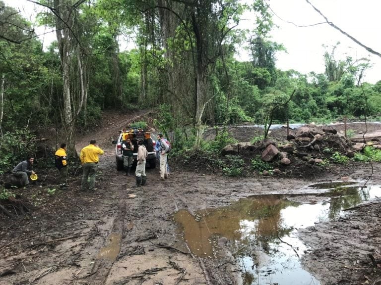 El Yacimiento Caimancito se ubica sobre el piedemonte oriental de la Sierra de Calilegua, dentro del denominado Parque Nacional Calilegua.