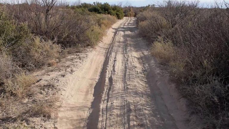 Las huellas ilegales están en el medio del campo y por ahí intentan ingresar a San Juan.