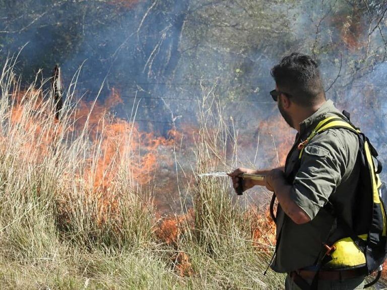 Brigadistas viene a Corrientes a ayudar a combatir el fuego.