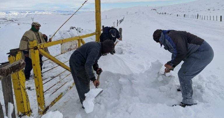 Nieve en Pilcaniyeu (El Cordillerano)