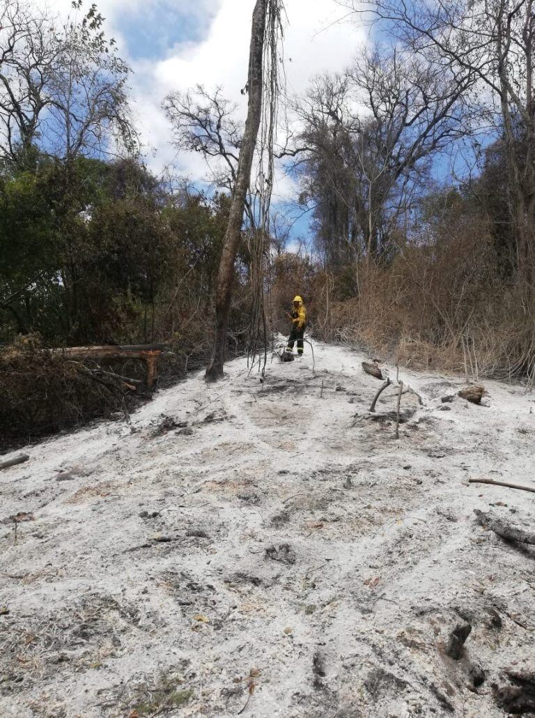 Personal del área protegida se encuentra trabajando intensamente en el terreno a los efectos de controlar el perímetro del mismo dentro del Parque Nacional.