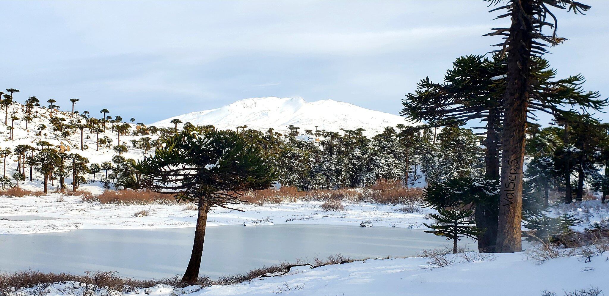 La nieve dejó toda la localidad cubierta de blanco.