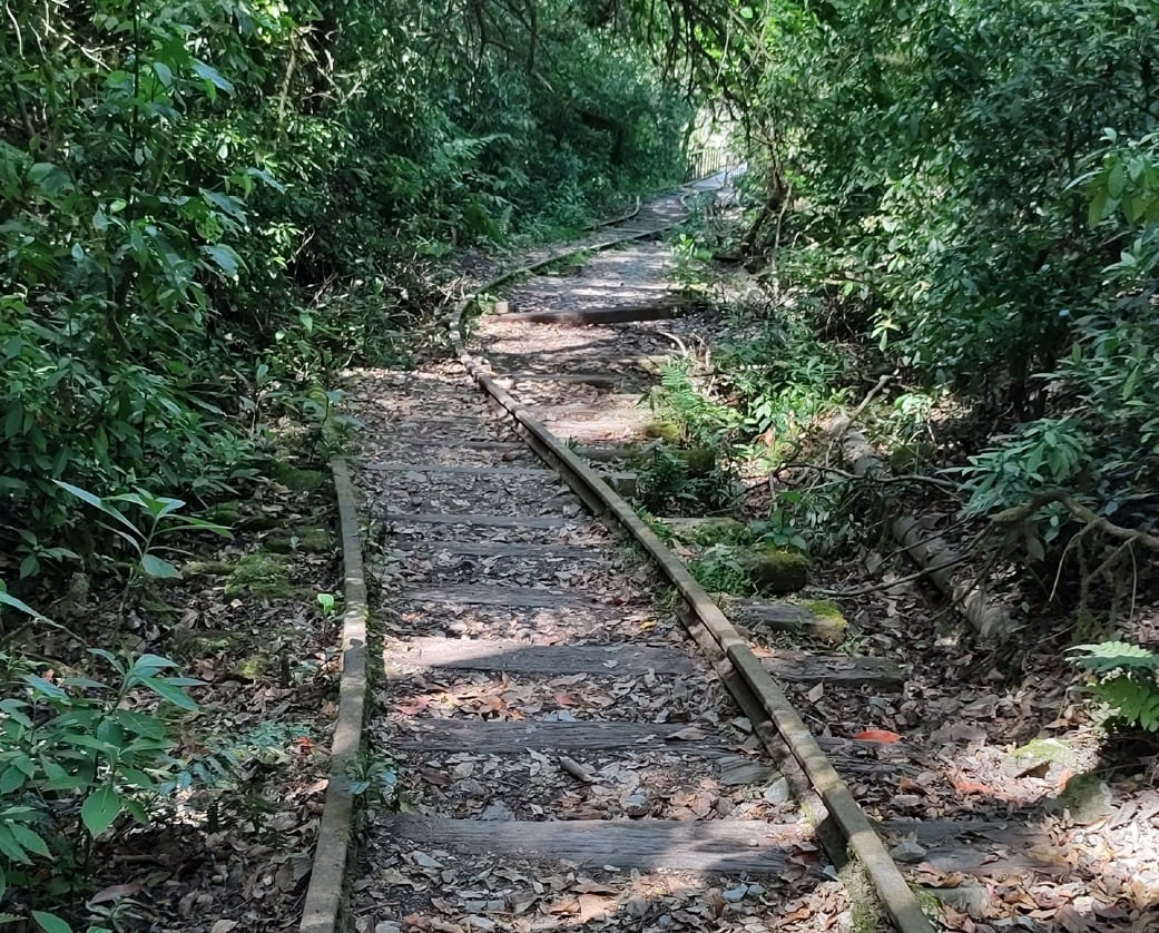 Vestigios de los rieles en la Yunga.