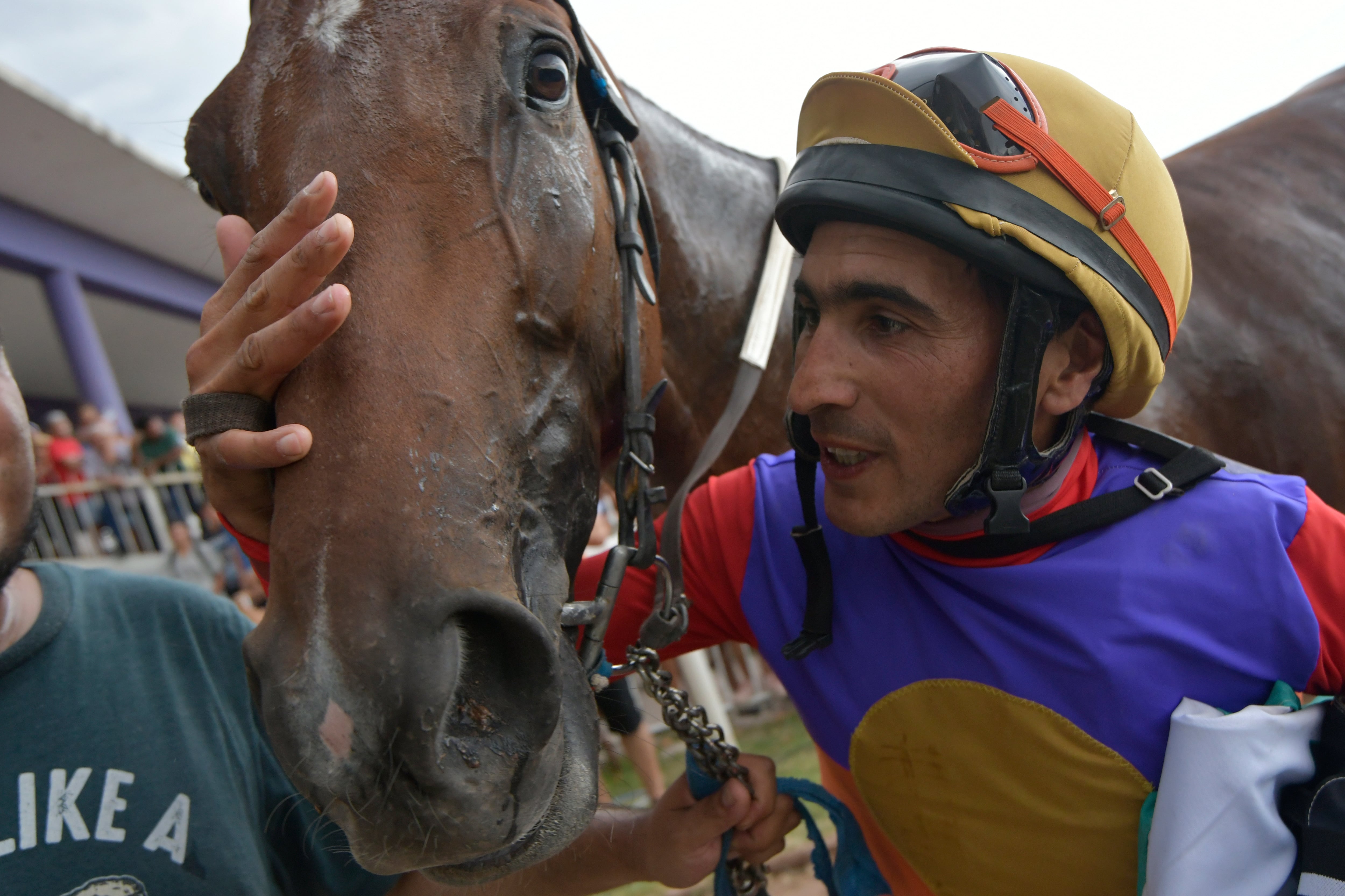 Turf Clásico Vendimia 2023
Kennedy Back, el caballo que corre bajo la monta  de  Florindo Catalano, se impuso con absoluta autoridad sobre Bellaco Song a quien superó por 3 cuerpos y a Malaikan que llegó en el tercer lugar, para los 2200 metros.

Foto : Orlando Pelichotti