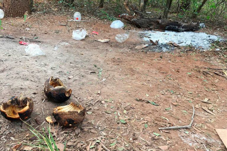 Multaron a cazadores de quirquinchos en el Chaco Salteño