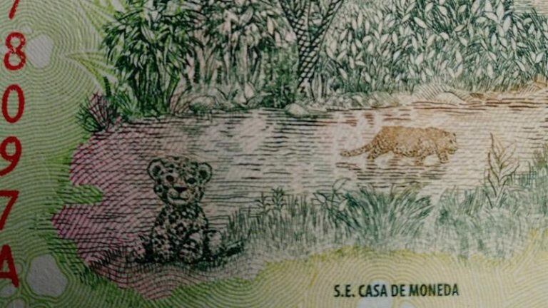 El billete de $500 ilustra acerca del yaguareté. Esa información es tema de análisis en escuelas jujeñas.