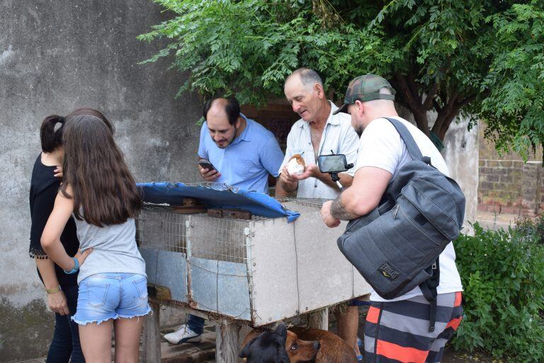 Criadero de nutrias de la familia León en Miramar.