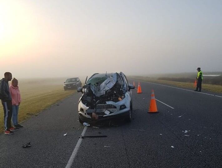 Un toro suelto en la Autovía 2 provocó un triple choque