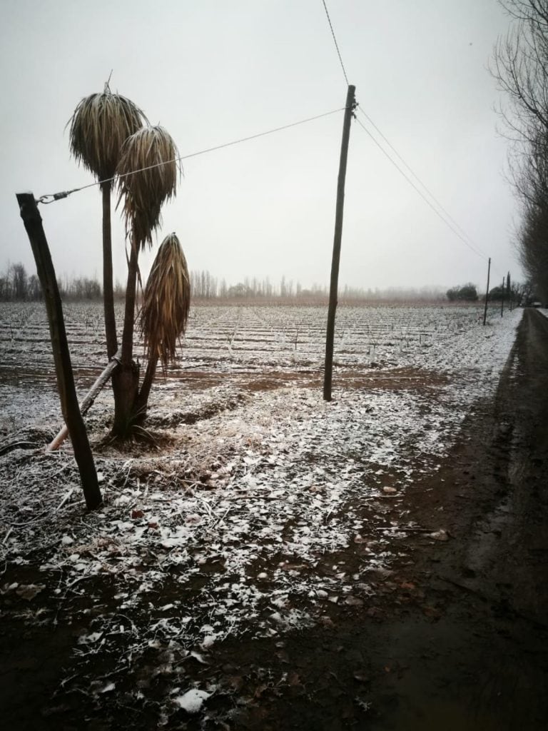 La nevada dejó un paisaje hermoso en Mendoza.