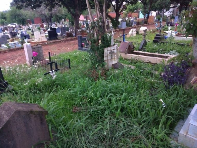 Abandono en el cementerio La Piedad.