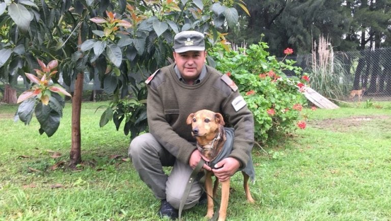 Angel junto a su nuevo amigo (Foto: Clarín)