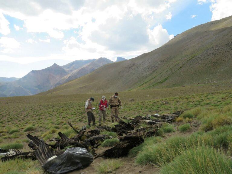 Treinta y cuatro cóndores son hallados muertos en un cerro situado a casi 3.00 metros de altura en la provincia argentina de Mendoza, al oeste del país y cerca del límite con Chile.
(Vinculado al texto de dpa "Hallan muertos 34 cóndores en la provincia argentina de Mendoza") Foto: -/telam/dpa +++ dpa-fotografia +++