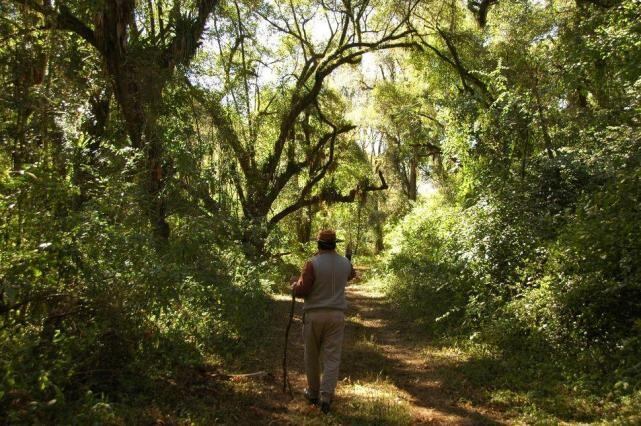 Parque Nacional El Rey