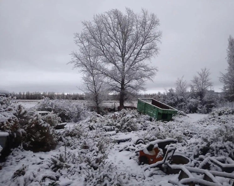 La nieve sorprendió a los habitantes de la zona cordillerana y precordillerana.