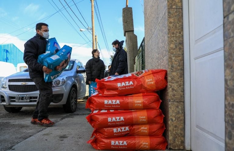 ACOMPAÑA CRÓNICA: ARGENTINA ANIMALES // AME8274. RÍO GRANDE (ARGENTINA), 08/05/2020.- Fotografía cedida por el Municipio de Río Grande de un voluntario apilando sacos de comida para animales como parte de la donación de más de mil kilos realizada por el gobierno de la sureña ciudad argentina de Río Grande (Argentina). La cuarentena pone límites para las salidas de todas las personas. Sin embargo, los animales callejeros no tienen casa en la que confinarse y continúan vagando por las calles de ciudades como la argentina Río Grande, en la que el gobierno local y vecinos se han unido para ayudar a las protectoras a lidiar con la situación. Los animales abandonados en la calle son uno de los principales problemas de la localidad, según el subsecretario de Gestión Ciudadana de Río Grande, Diego Radwanitzer, uno de los responsables de armar una red solidaria para la pandemia que, en menos de diez días, reunió más de 1.000 kilos de alimento y otros útiles de higiene para las protectoras. EFE/