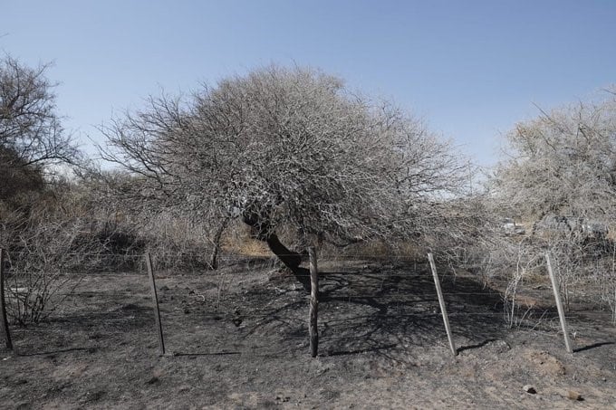 La cruel realidad de miles de hectáreas en diferentes regiones de la provincia de Córdoba. (Foto: Twitter / Gobierno de Córdoba).