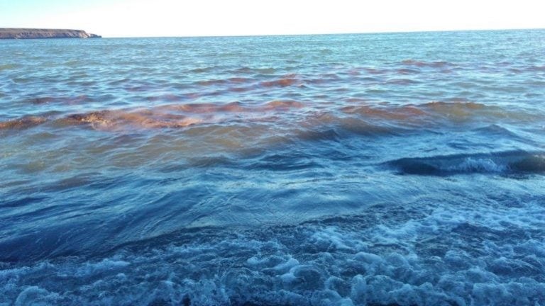 Se observó una mancha sobre la costa y se hizo la denuncia a Medioambiente.