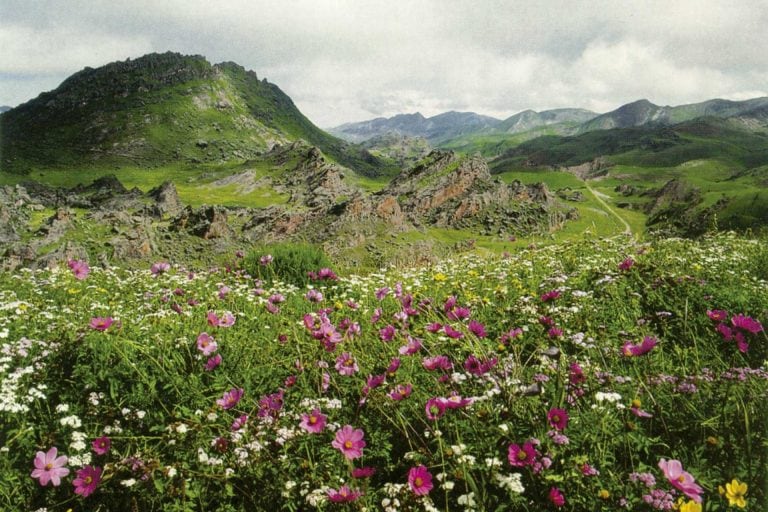 Valle Encantado. (Web)