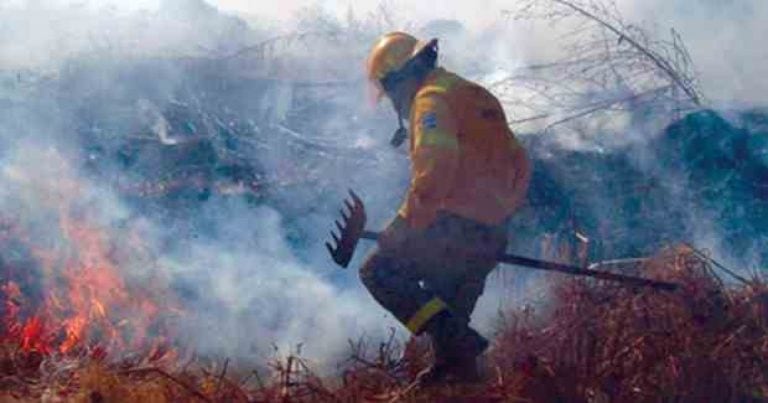 Incendios en Salta.