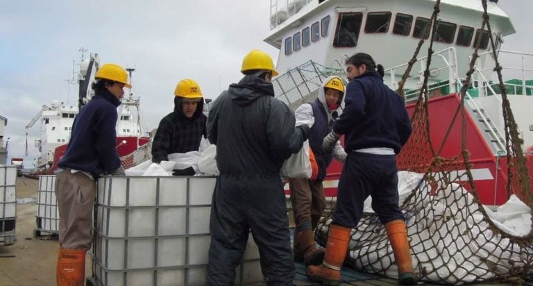 El Brexit preocupa a quienes viven de la pesca de calamar en las Islas Malvinas (Foto: AP)