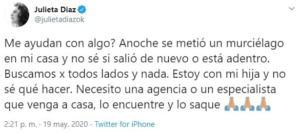 La situación desesperante que vivió Julieta Díaz en su casa (Captura)