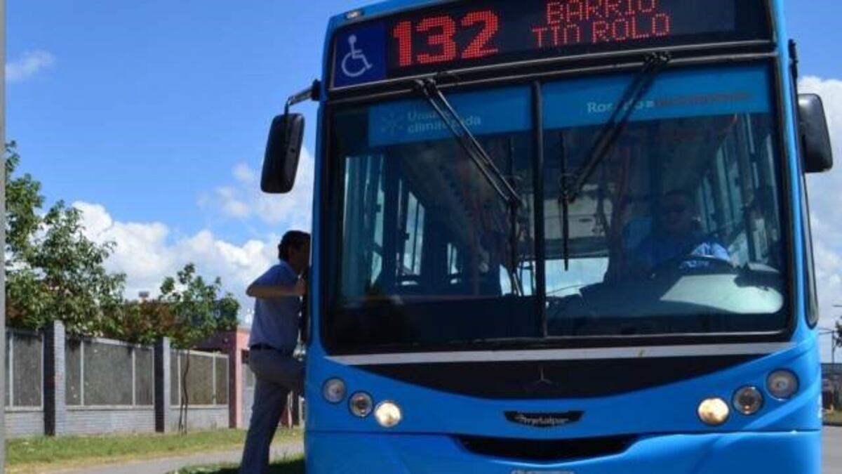 Desde julio colectivos urbanos funcionarán con 25 por ciento de biodiesel