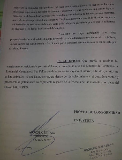 El escrito presentado por los abogados defensores de Gil Pereg.