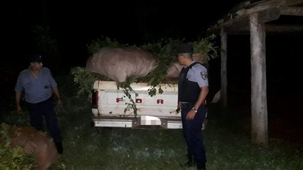Detuvieron a un ladrón de yerba mate en 9 de Julio
