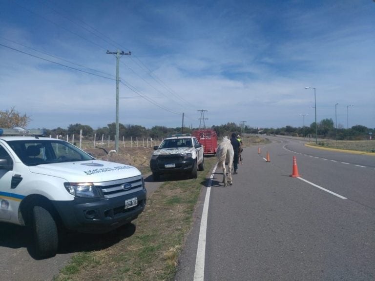 Fue ayer a la tarde, en el kilómetro 30 de la Autopista 25 de Mayo, jurisdicción de la comisaría de Villa de la Quebrada. Foto: Policía de San Luis.