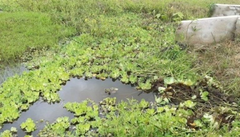 Encontraron el cuerpo sin vida en un hombre en una zanja