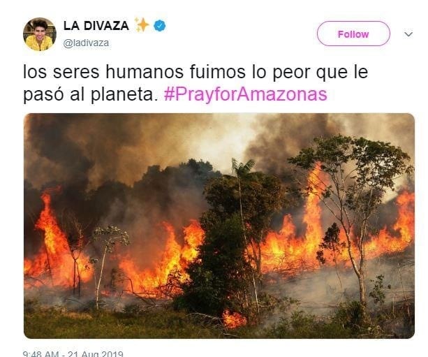 Las fotos falsas del incendio en el Amazonas (Web)