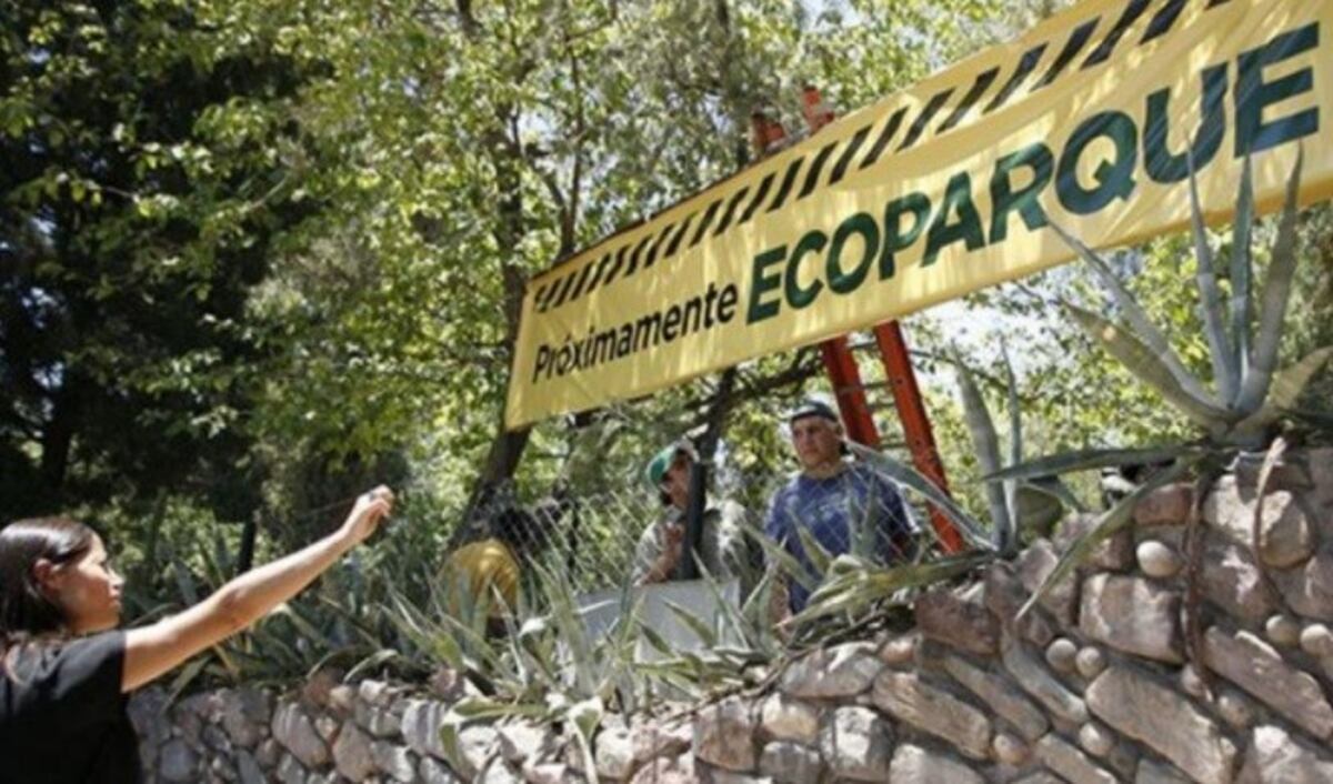 ¿Cómo se encuentra el Ecoparque durante la cuarentena?