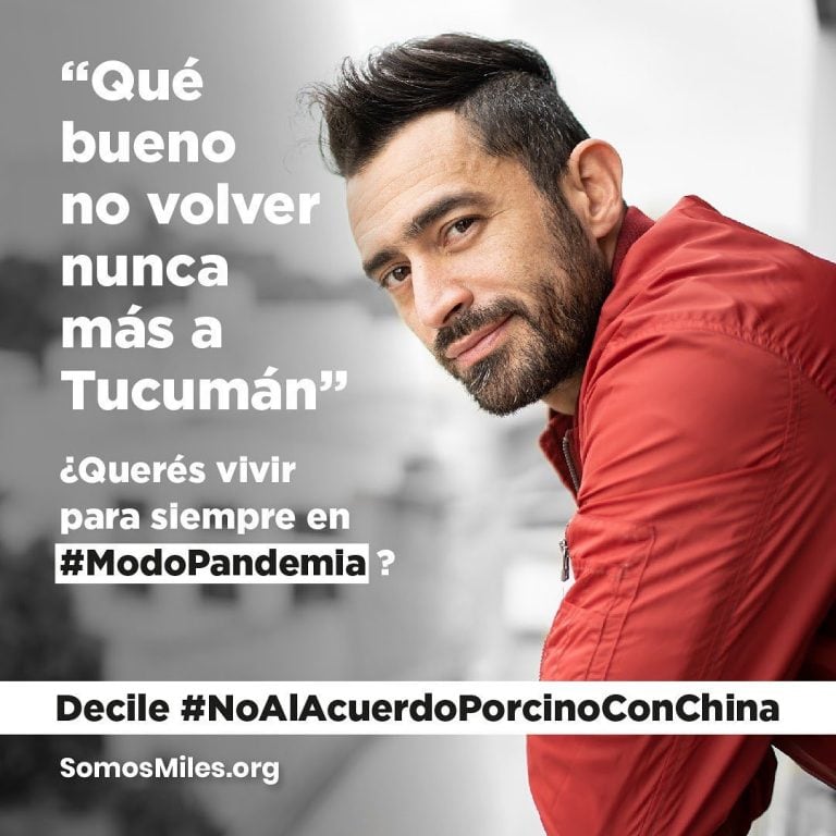 #ModoPandemia: la iniciativa que busca frenar el acuerdo porcino con China que promueven los famosos (Foto: Instagram @somosmilesorg)