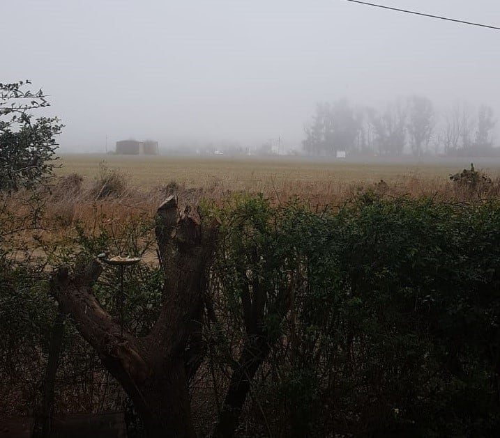 Así amanecía hoy la zona rural