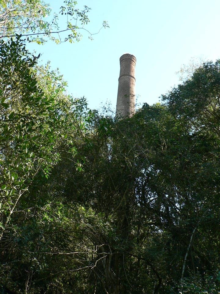 Reserva Campo San Juan: la torre del ingenio del siglo XIX que fue propiedad de Rudecindo Roca, hermano de Julio A. Roca y gobernador del entonces Territorio Nacional de Misiones. (WEB)