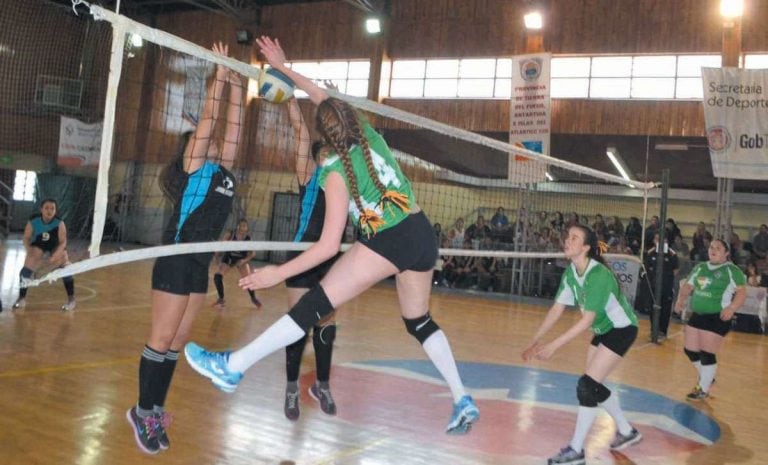 Voley femenino