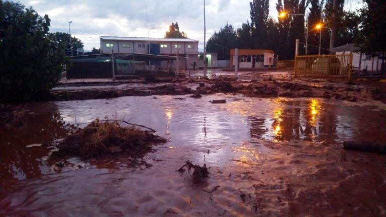 Inundación en Malargüe por la crecida del arroyo La Bebida