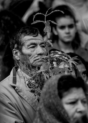 Una de las imágenes de "Peregrino", de Nicolás Heredia.